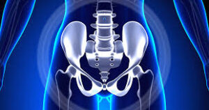 pelvic health physical therapy 